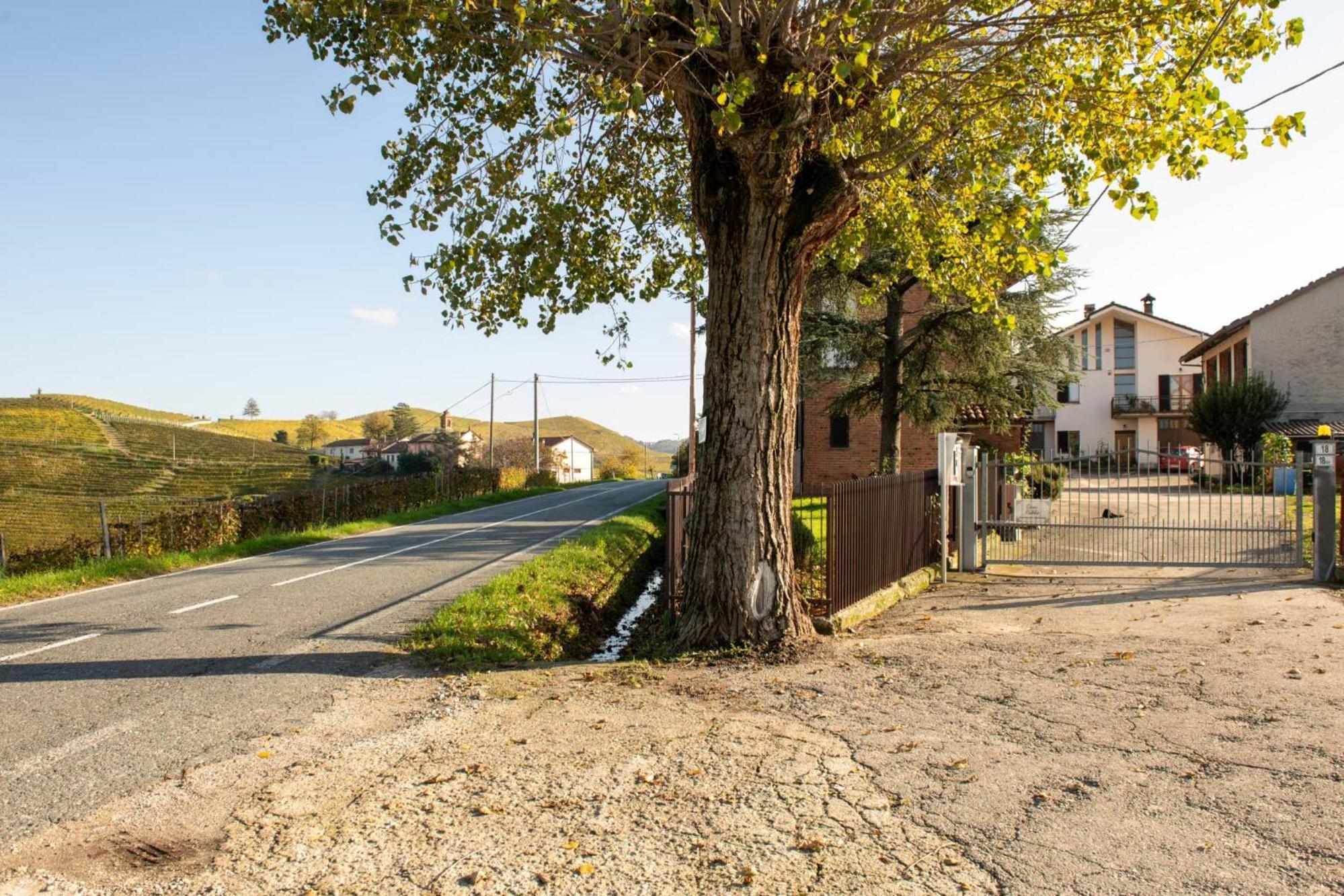 Casa Rubbo - Appartamento In Collina 'Monviso' Alba (Piedmont) Exterior foto